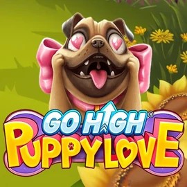 Go High Puppy Love slot icon by RubyPlay, available at GGBet Casino